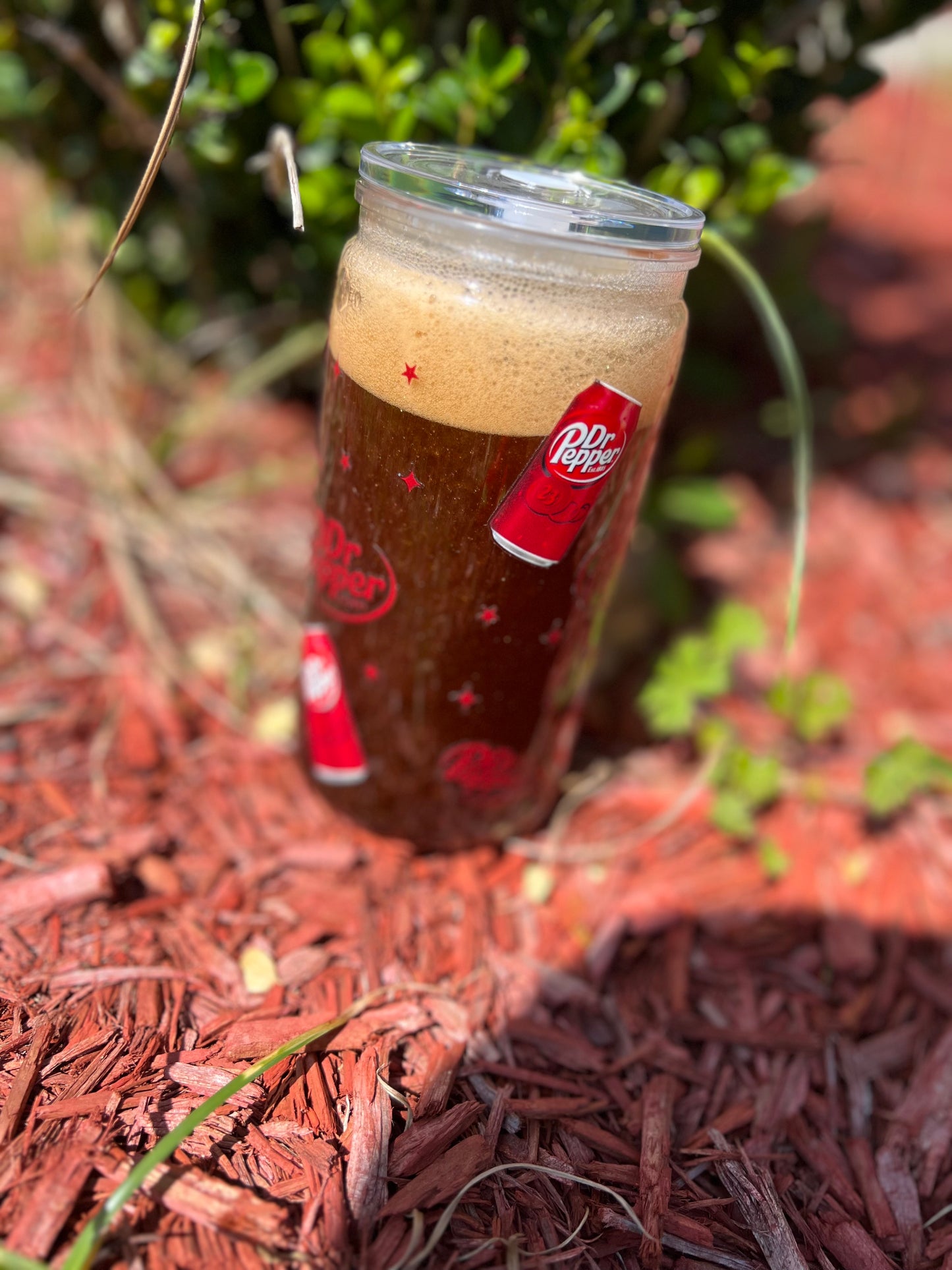 16oz DP Themed Snowglobe