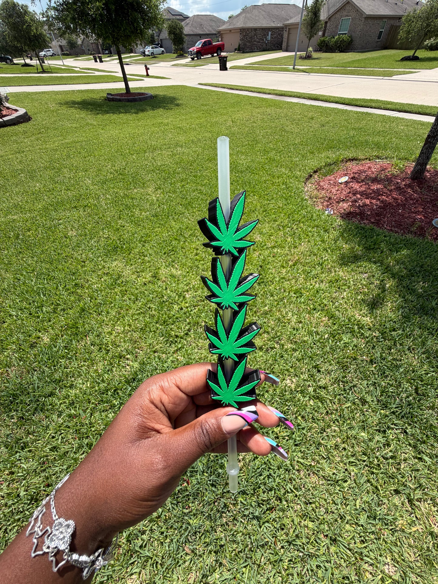 Leaf Straw Buddy