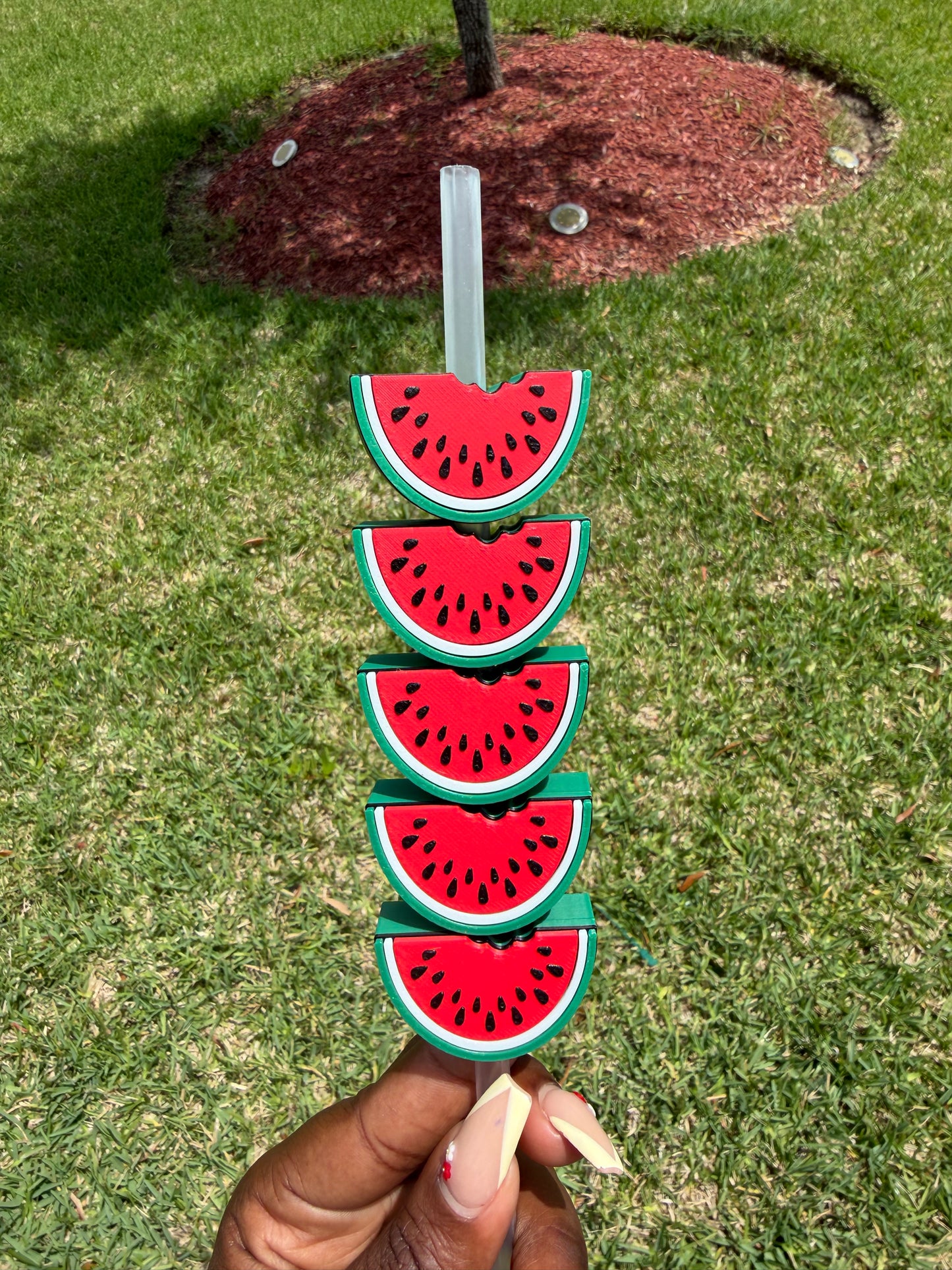 Watermelon Straw Buddy