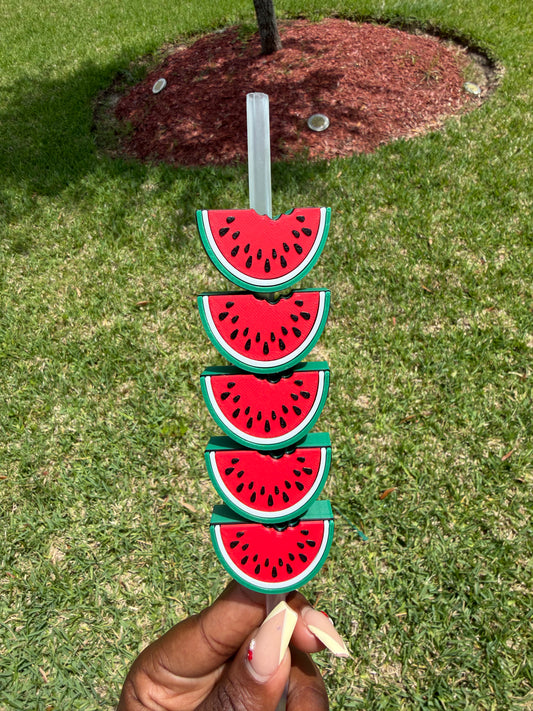 Watermelon Straw Buddy